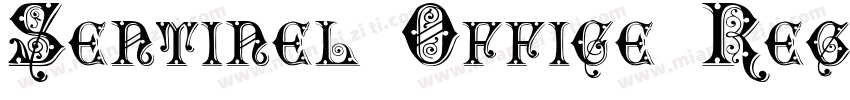 Sentinel Office Regu字体转换